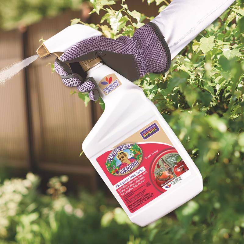 Bonide 250 Captain Jack's Deadbug Brew being sprayed on a bush