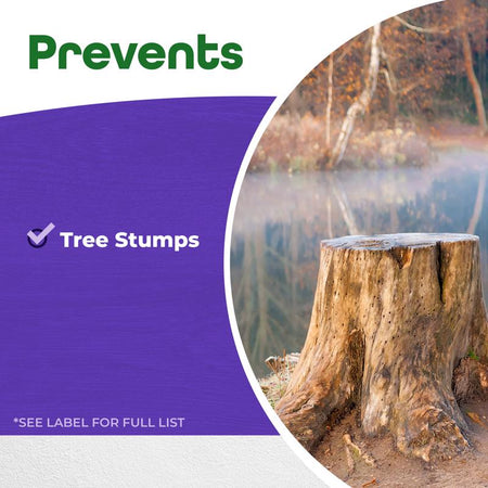 Bonide 272 Stump-Out Granules prevents tree stumps