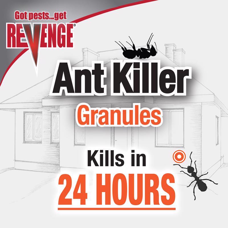 Revenge Ant Killer Granules 24 hour action infographic