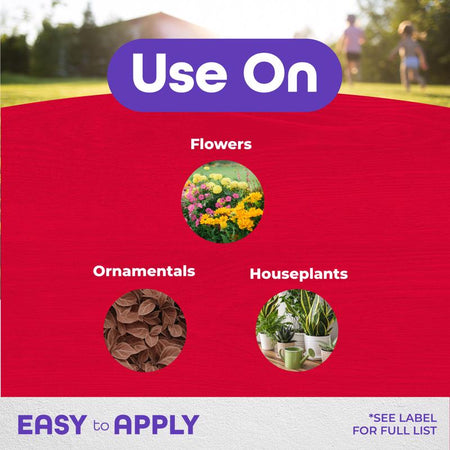 Bonide 951 Systemic Houseplant Insect Control Granules for use on infographic