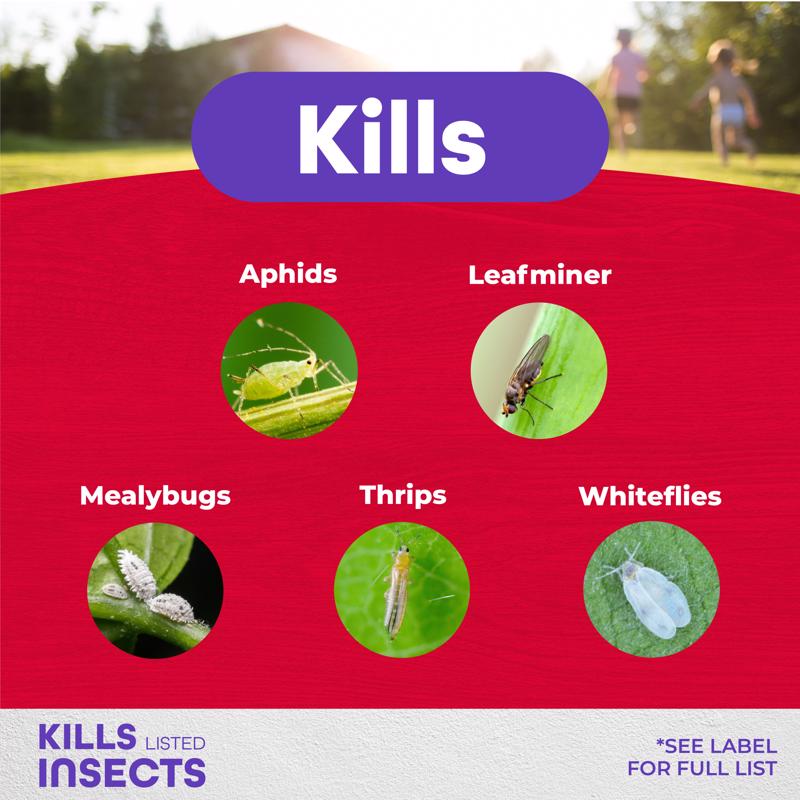 Bonide 951 Systemic Houseplant Insect Control Granules listed insects infographic