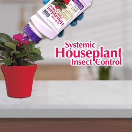 Bonide 951 Systemic Houseplant Insect Control Granules being applied to a plant