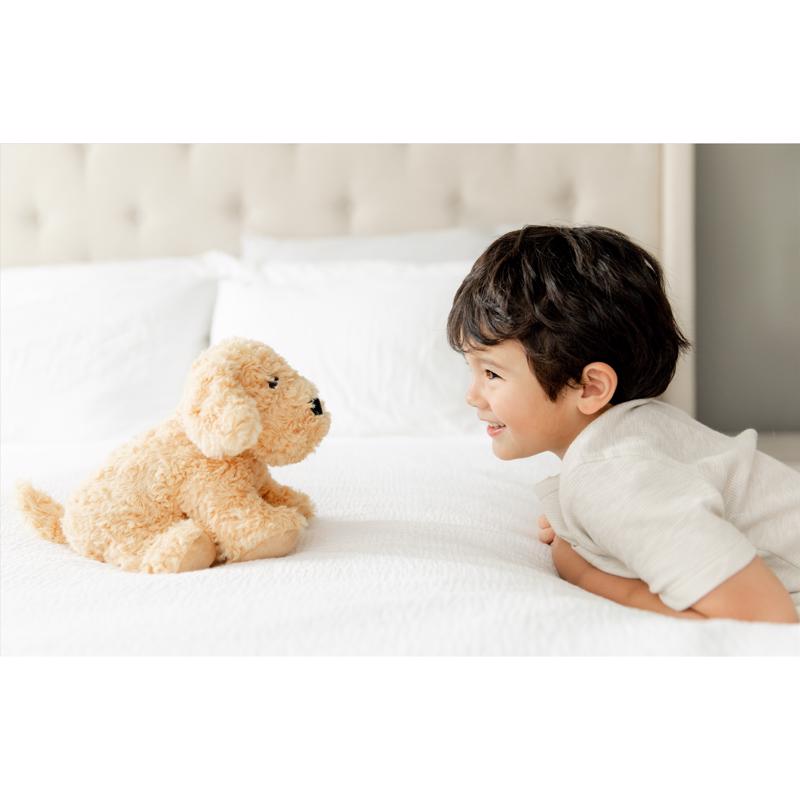 Child lying on a bed with a Warmies CP-DOG-3 Plush Golden Dog toy