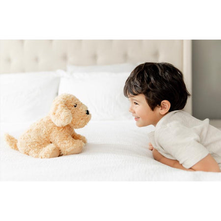 Child lying on a bed with a Warmies CP-DOG-3 Plush Golden Dog toy