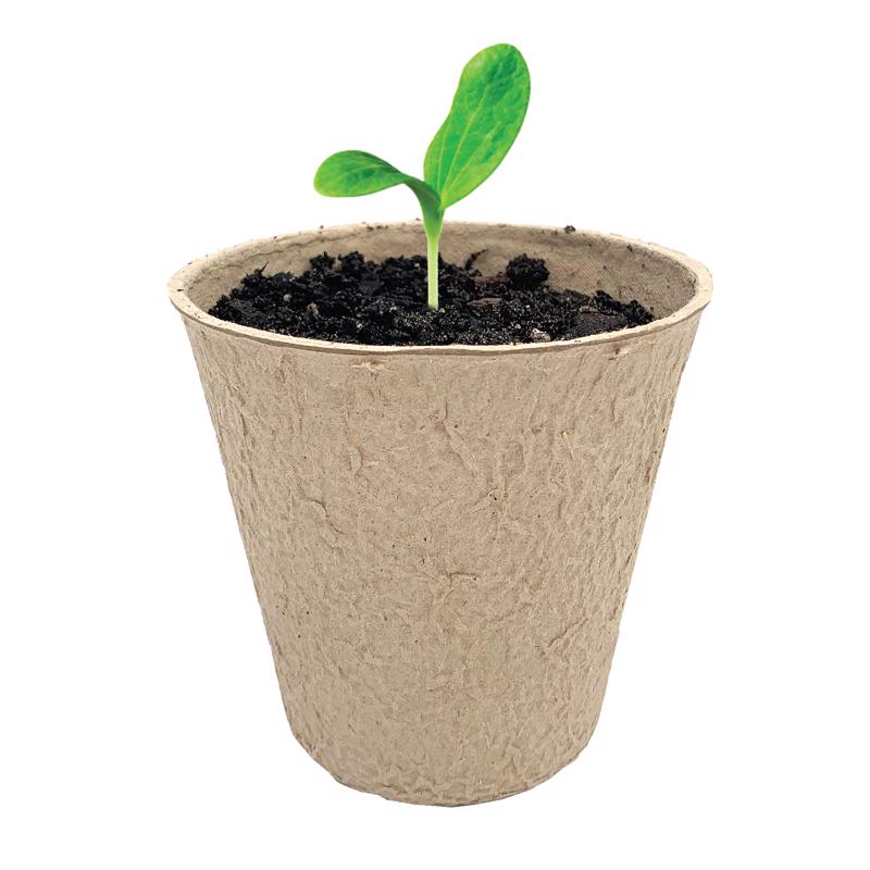 peat plant pots Plantation Products FR312B Peat Pot Pack, 3-In. Round, 15-Pk
