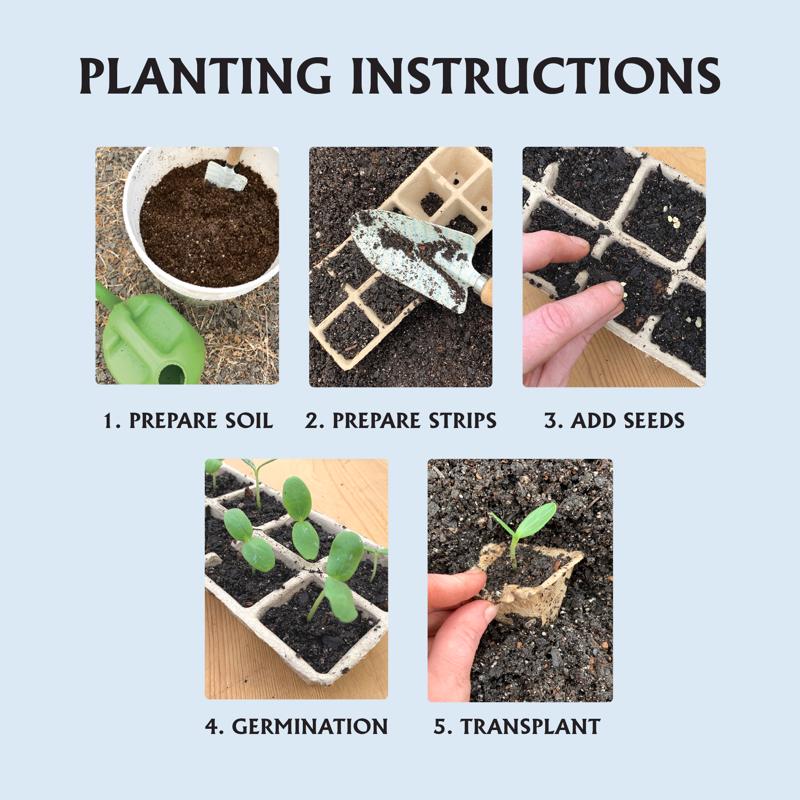 Ferry-Morse FS110 Seed Starter Pots planting instructions infographic