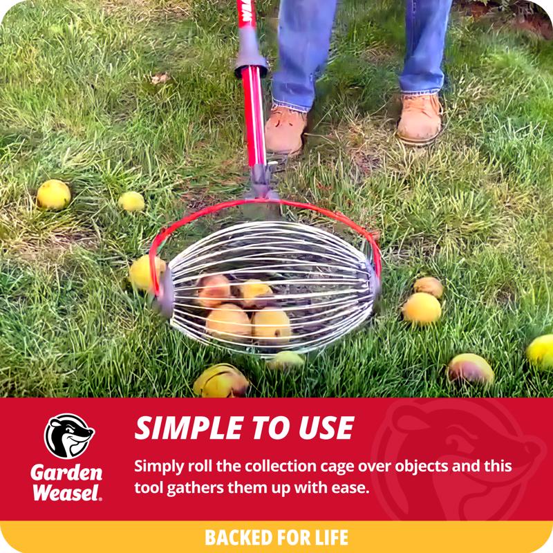 How to use the Garden Weasel Small Nut Gatherer 95334
