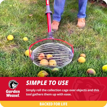 How to use the Garden Weasel Small Nut Gatherer 95334