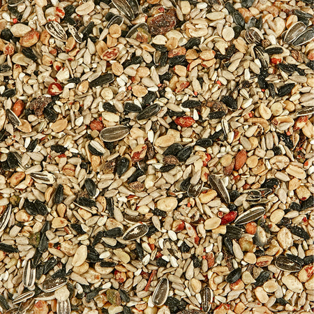 Kaytee Nut & Fruit Blend Bird Seed