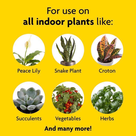 Miracle-Gro Indoor Plant Food for use on infographic