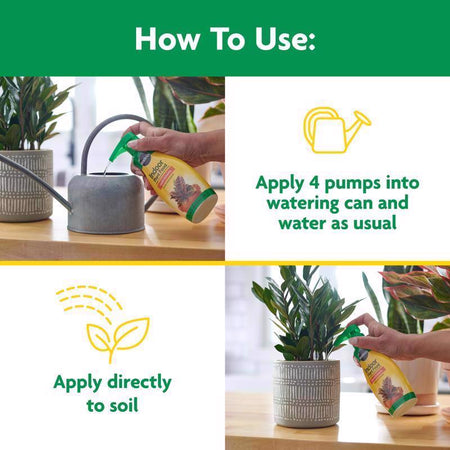 Miracle-Gro Indoor Plant Food how to use infographic