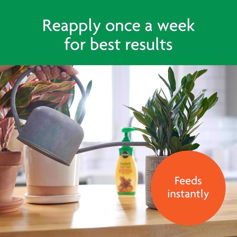 Miracle-Gro Indoor Plant Food frequency infographic