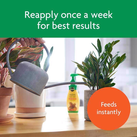 Miracle-Gro Indoor Plant Food frequency infographic