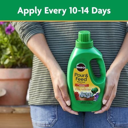 Miracle-Gro Pour & Feed Plant Food application frequency infographic