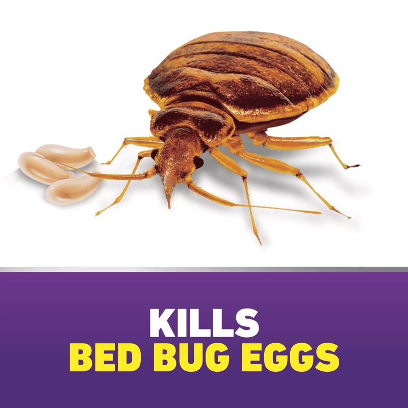 Ortho Home Defense Max Bed Bug Killer Aerosol 0201405 kills eggs