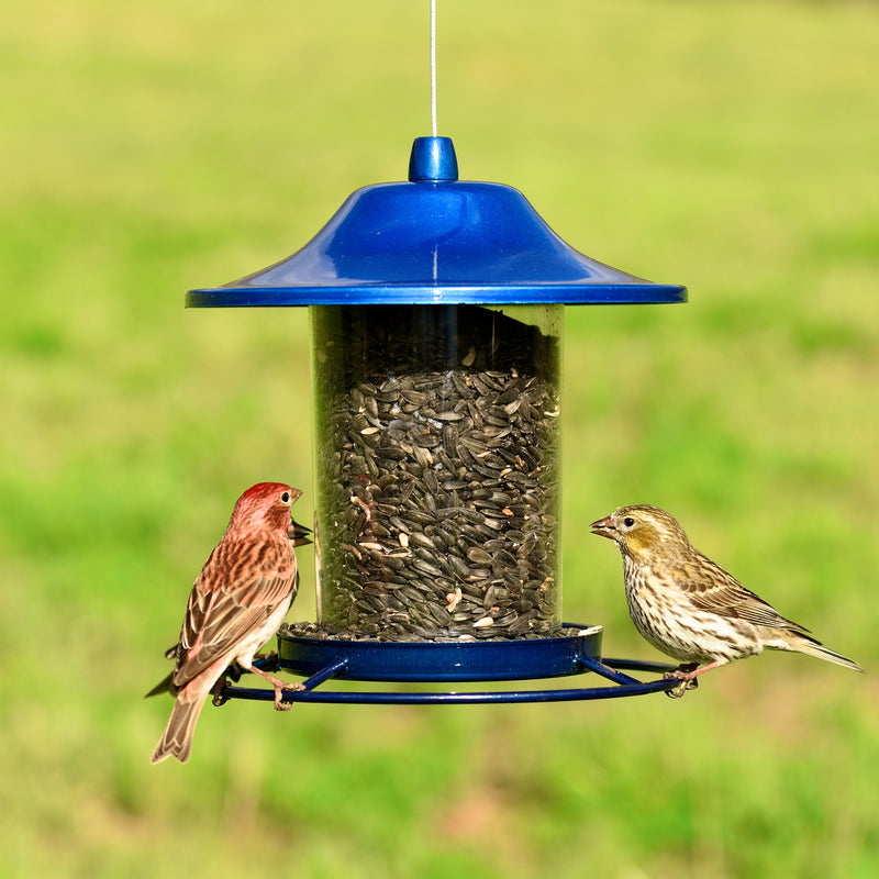 Two birds feeding from the Perky-Pet Blue Sparkle Panorama Feeder 312B