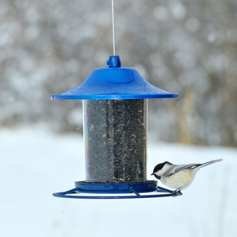 Perky-Pet Blue Sparkle Panorama Feeder 312B with a snowy background