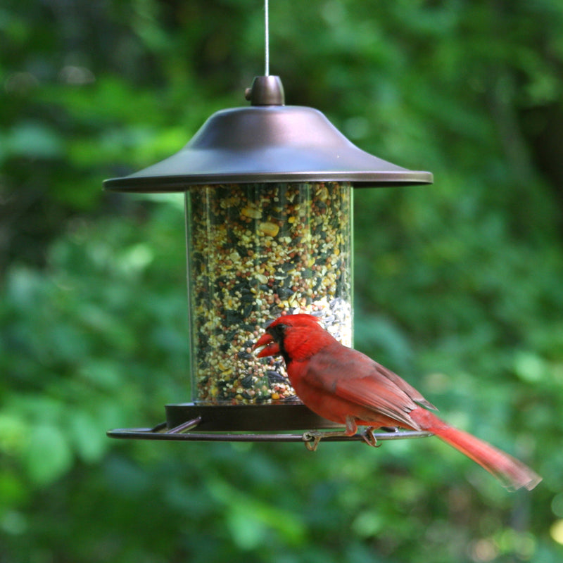 A cardinal feeding from the Perky-Pet Copper Panorama Feeder 312C