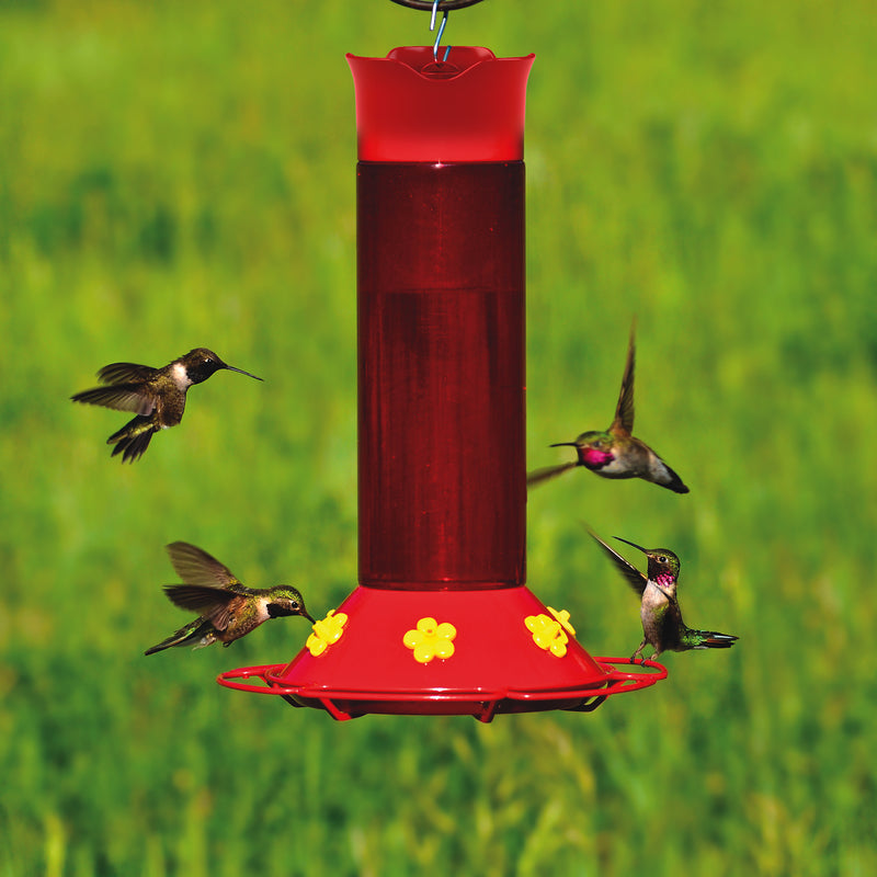Hummingbirds feeding from the Perky-Pet Hummers Favorite Plastic Hummingbird Feeder 409