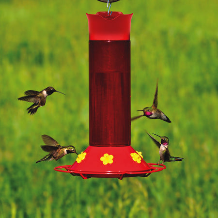 Hummingbirds feeding from the Perky-Pet Hummers Favorite Plastic Hummingbird Feeder 409