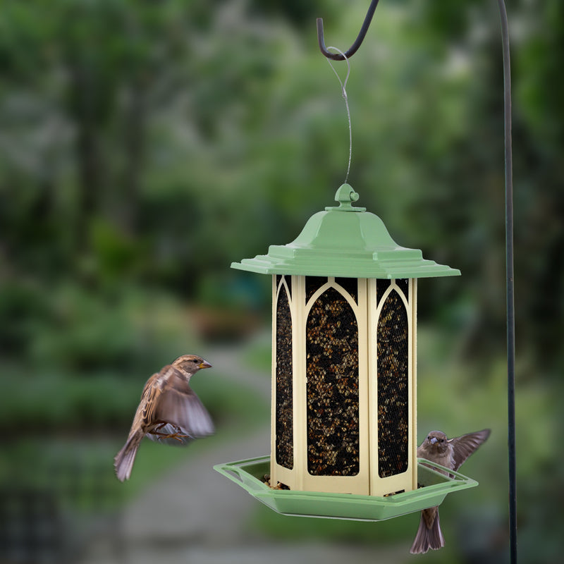 Birds feeding from the Perky-Pet GAZ01 Wild Bird and Finch Gazebo Bird Feeder