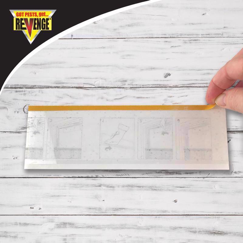 Revenge Window Fly Catcher shown on a table