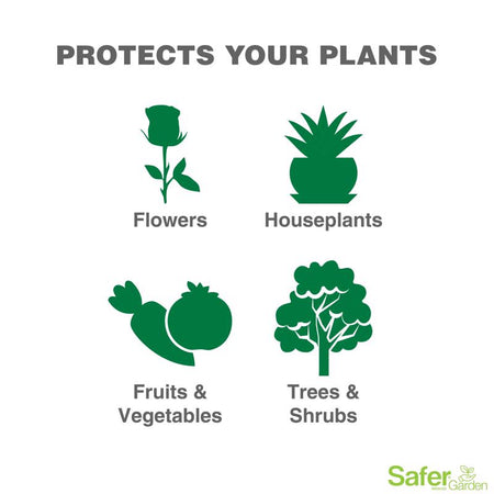 Safer Brand Insect Killing Soap RTU plant protection infographic