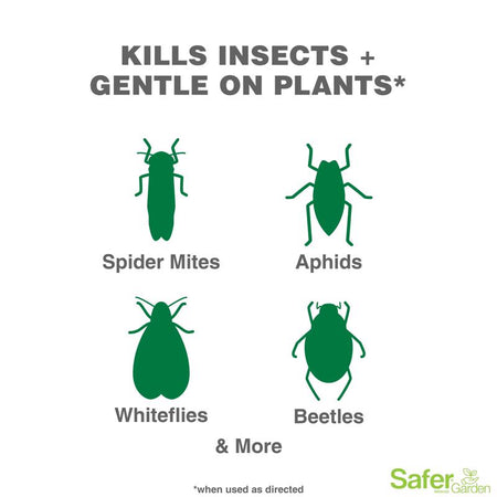 Safer Brand Insect Killing Soap RTU listed insects infographic