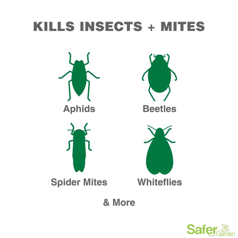 safer 3-1 garden spray Safer 3 in 1 Garden Spray