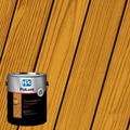 Sikkens ProLuxe Cetol 1 RE Natural Oak Gallon SIK41005 Color Swatch