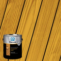 Sikkens ProLuxe Cetol DEK Finish Natural Oak Gallon SIK44005 Color Swatch