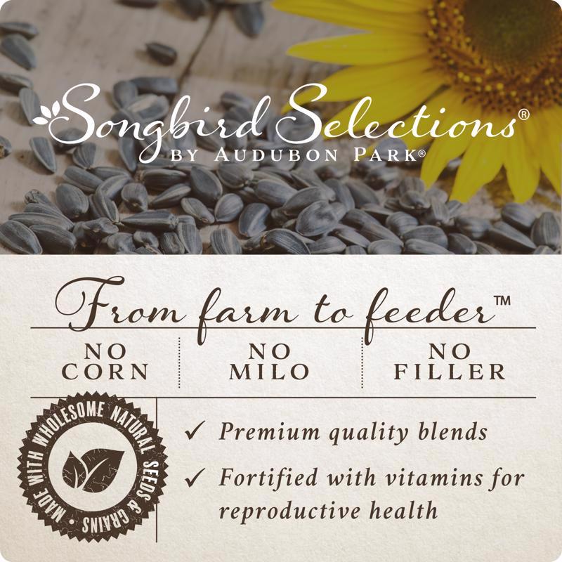 Songbird Selections brand highlights infographic