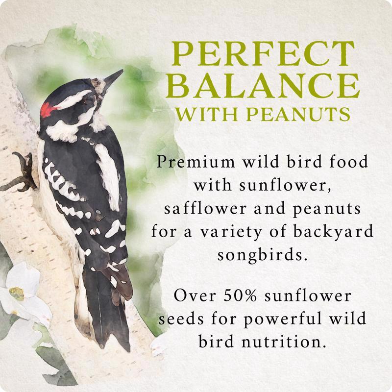 Songbird Selections Perfect Balance Wild Bird Food 13624 product highlights