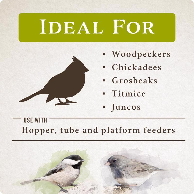 Songbird Selections Perfect Balance Wild Bird Food 13624 ideal for bird types infographic