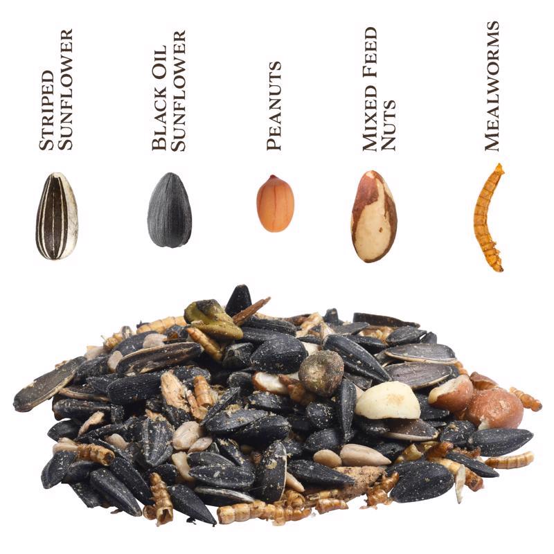 Songbird Selections Premium Protein with Mealworms Wild Bird Food 13627 seed type infographic