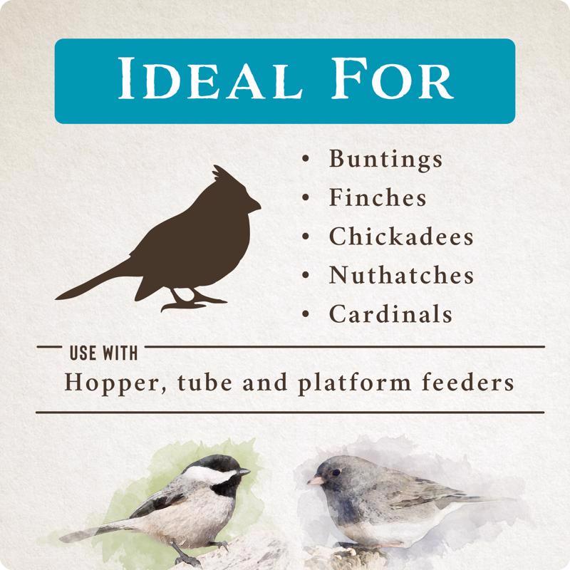 Songbird Selections No Waste Supreme Wild Bird Food bird types infographic