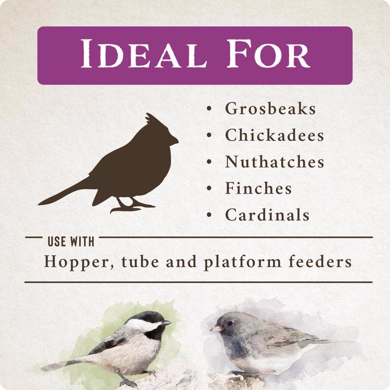 Songbird Selections Berry Burst bird types infographic