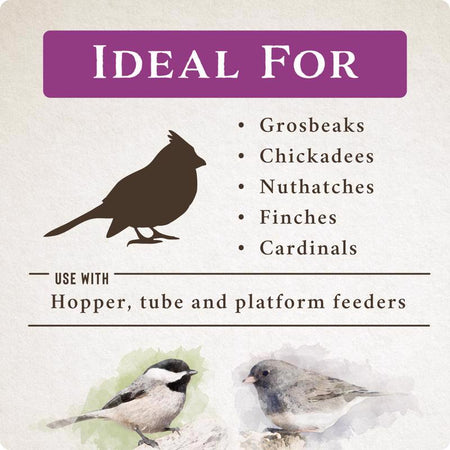 Songbird Selections Berry Burst bird types infographic