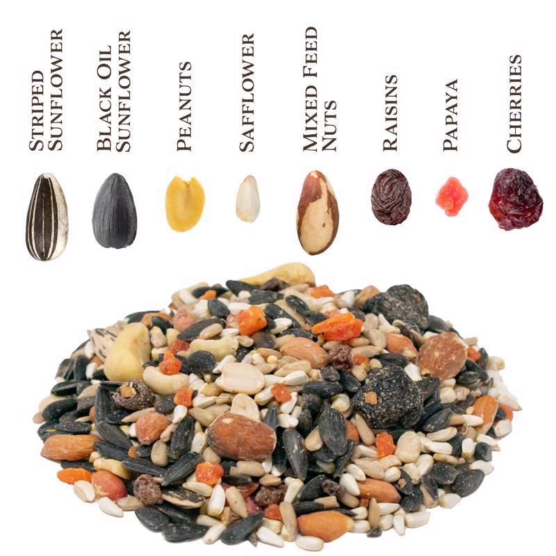 Songbird Selections Berry Burst seed types infographic