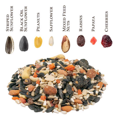 Songbird Selections Berry Burst seed types infographic