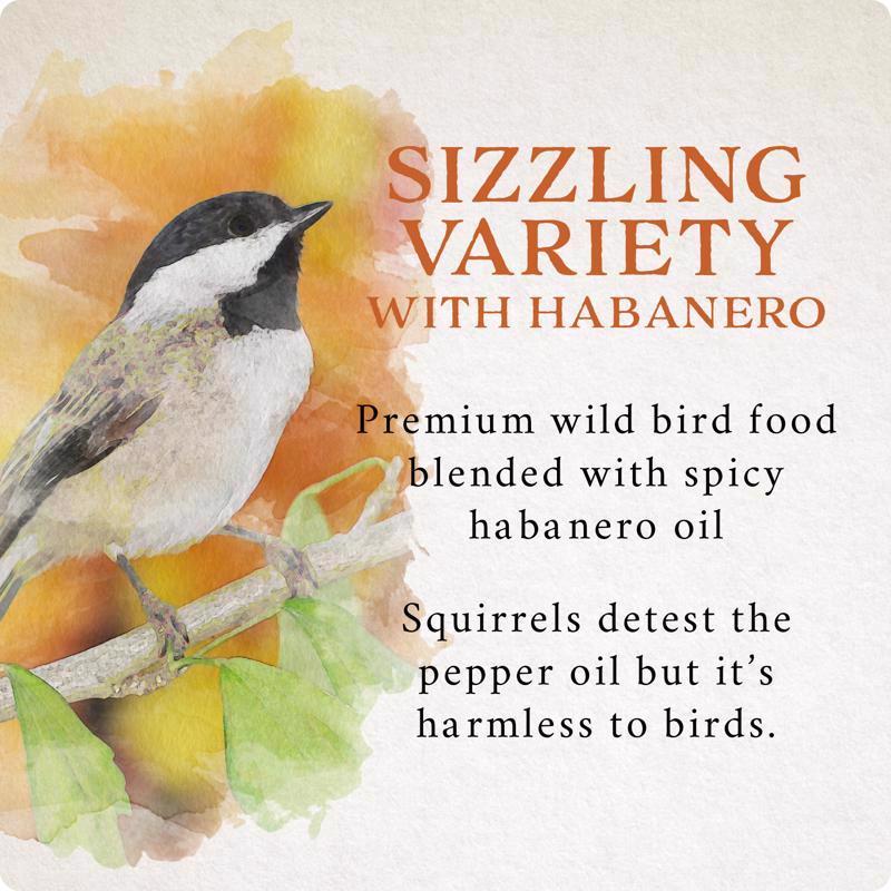 Songbird Selections Sizzling Variety Wild Bird Food product highlights