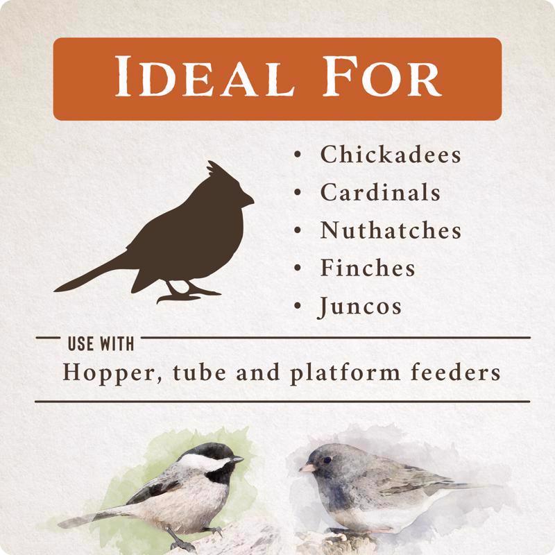 Songbird Selections Sizzling Variety Wild Bird Food bird types infographic