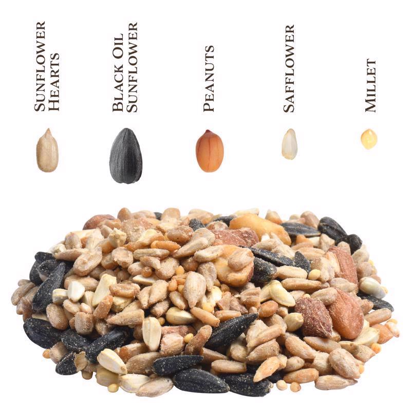 Songbird Selections Sizzling Variety Wild Bird Food seed types infographic