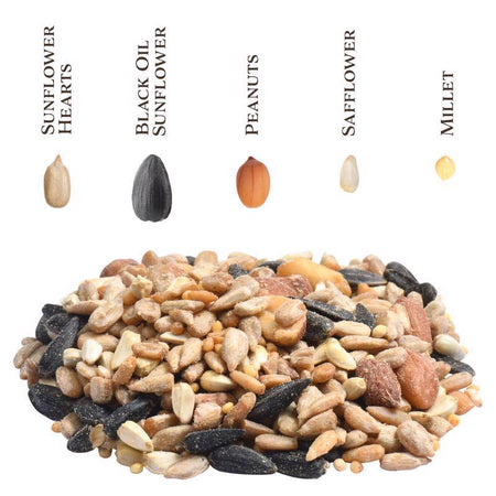 Songbird Selections Sizzling Variety Wild Bird Food seed types infographic