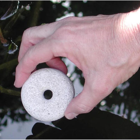 Man placing a Summit Chemical Mosquito Dunk in a pond