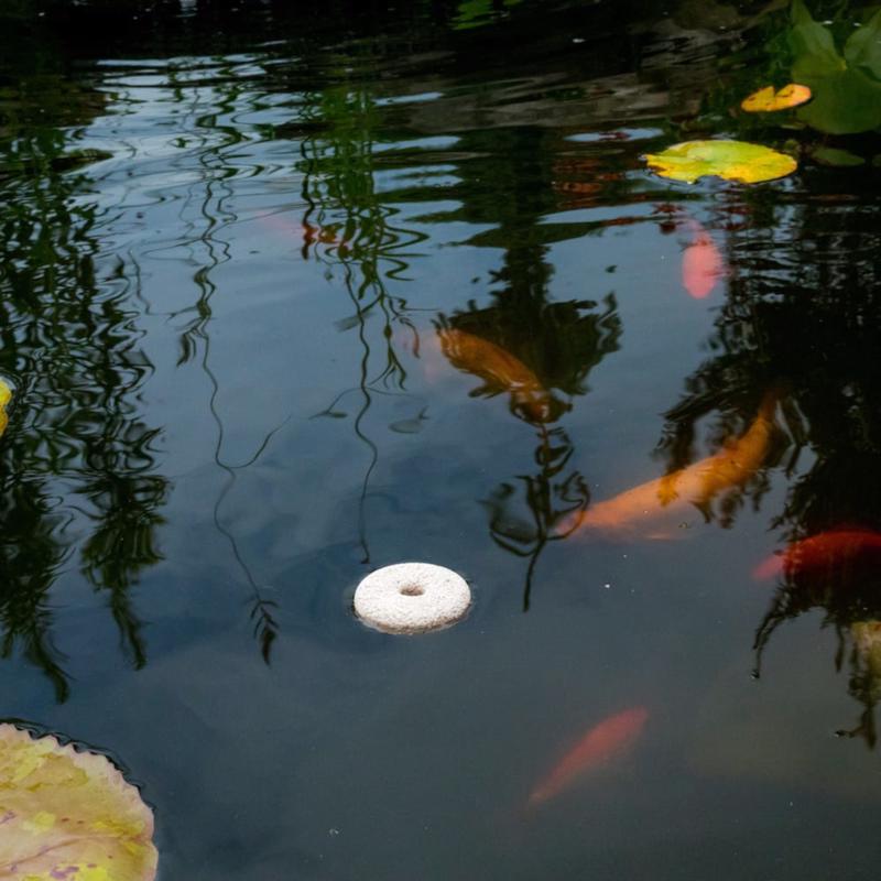 Summit Chemical Mosquito Dunk floating in a fish pond