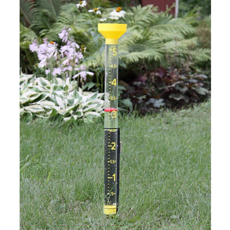 Taylor 2706 Jumbo Rain Gauge shown on a lawn
