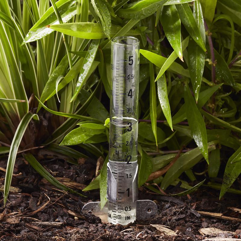 Taylor 2710N Rain Gauge shown inserted in the ground holding rainwater