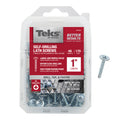 Teks Phillips Truss Head Tapping Lath Screws - Metal or Lath to Metal 1 inch 170 pack