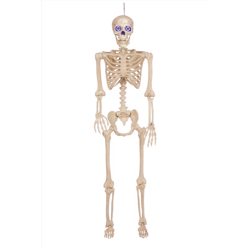 Seasons 5 Ft Lighted Sound Activated Halloween Skeleton W83225